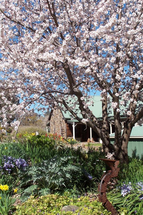 Inspiring Views B&B ウォドンガ エクステリア 写真